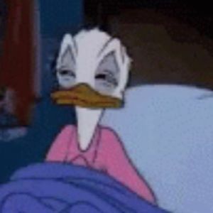 Meet your Posher, Lizzy